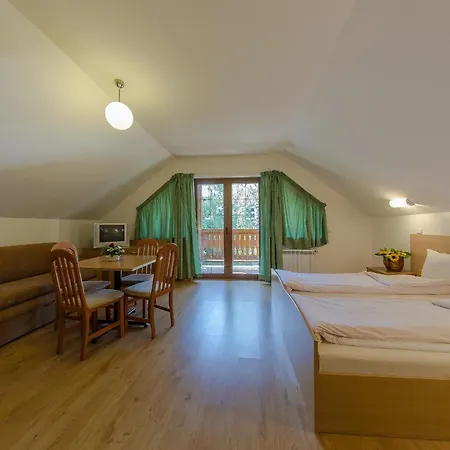 Apart Hotel Kokiche * بوروفتس
