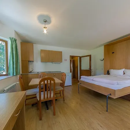 Apart Hotel Kokiche * Boroveț